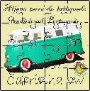 CARRINHA VW.webp