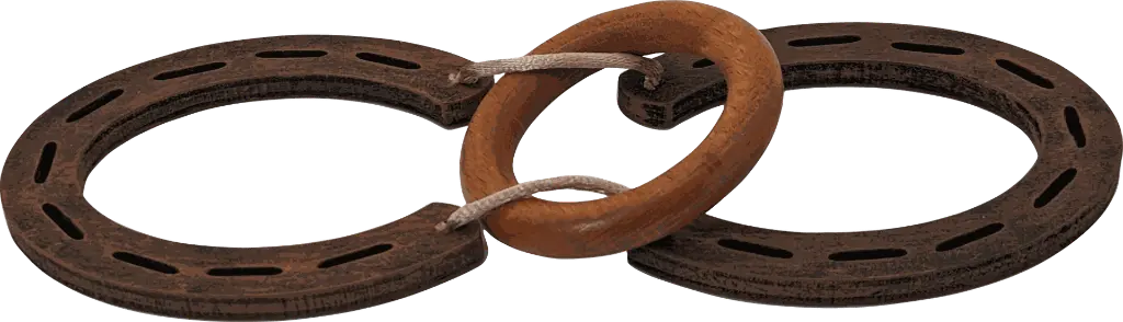 FERRADURAS CASTANHO.webp